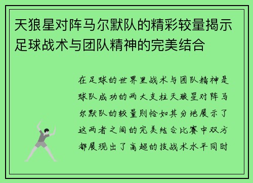 天狼星对阵马尔默队的精彩较量揭示足球战术与团队精神的完美结合