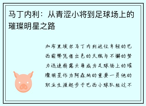 马丁内利：从青涩小将到足球场上的璀璨明星之路