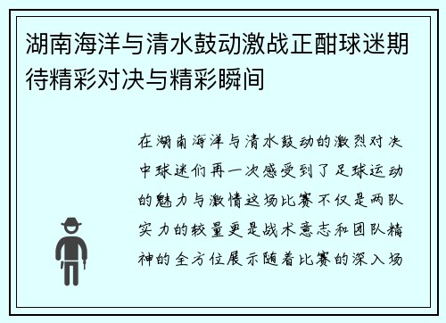 湖南海洋与清水鼓动激战正酣球迷期待精彩对决与精彩瞬间