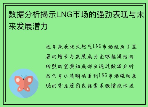数据分析揭示LNG市场的强劲表现与未来发展潜力